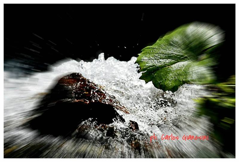 23768590_650467812008430_1359910243_o