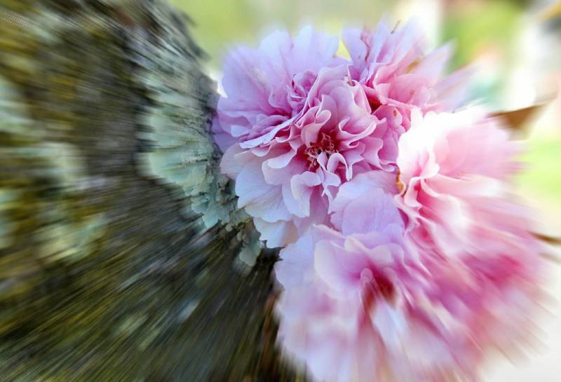 23828578_651557101899501_2088067181_o