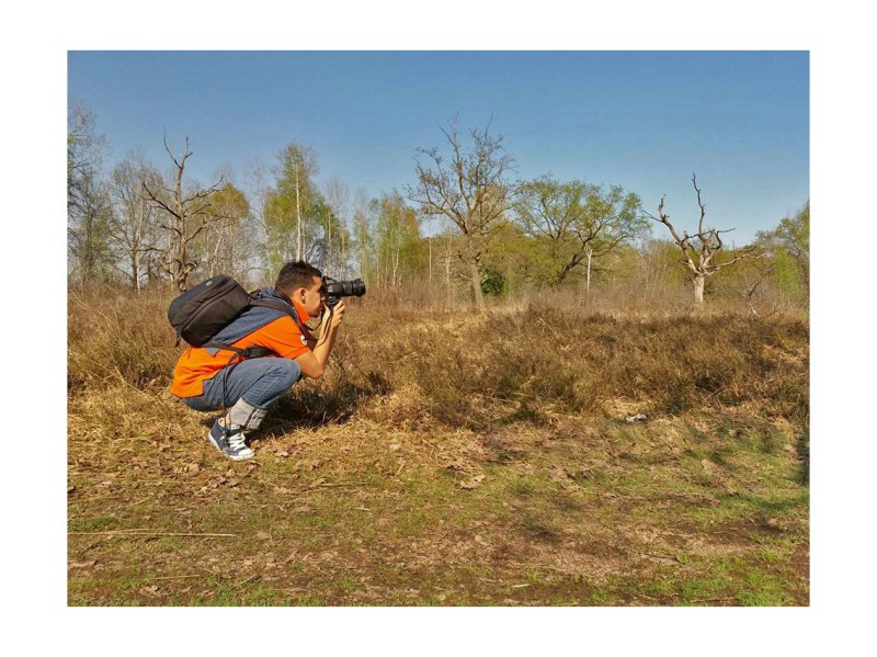 30711958_2063935303848447_9176859593638593553_n